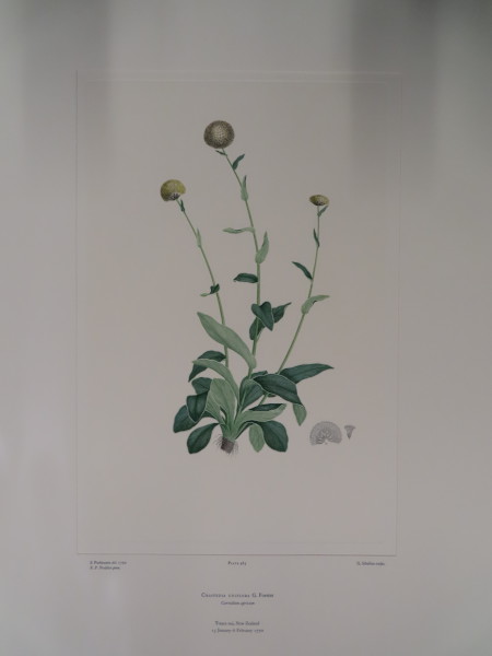 image FDA-E.2916_23_19-2016