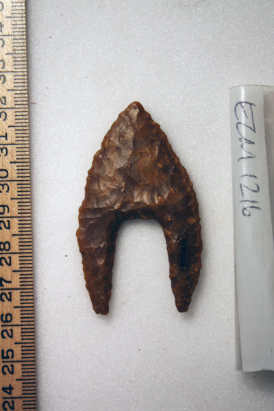 ECM.1216-2010-B image ECM.1216-2010-B