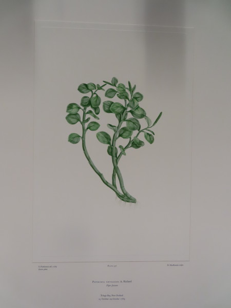 FDA-E.2916_25_25-2016-A image FDA-E.2916_25_25-2016-A