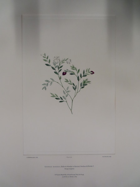 image FDA-E.2916_34_18-2016