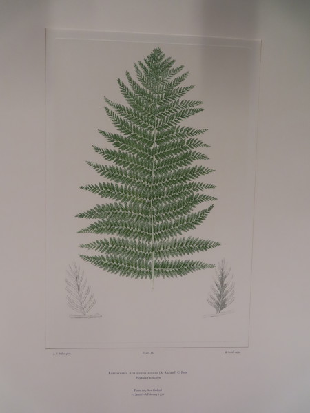 image FDA-E.2916_27_26-2016