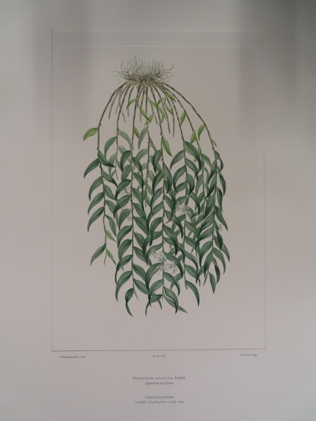 FDA-E.2916_31_19-2016-A image FDA-E.2916_31_19-2016-A