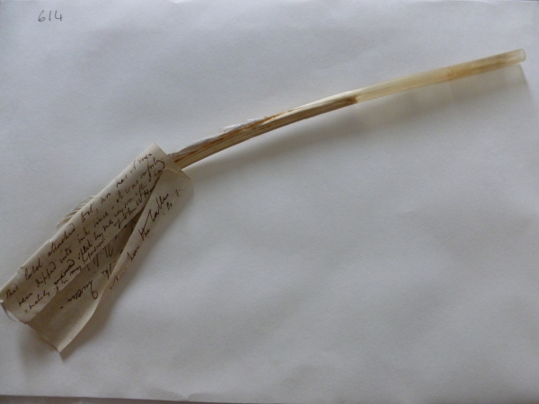 MEL.614-2010 image MEL.614-2010