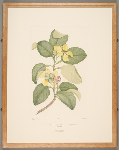 FDA-E.2916_1_4-2016-cr image FDA-E.2916_1_4-2016-cr