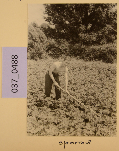 PA-A.37_488-2012 image PA-A.37_488-2012