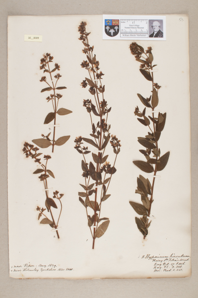 NHM_HH_10.9-2010 image NHM_HH_10.9-2010