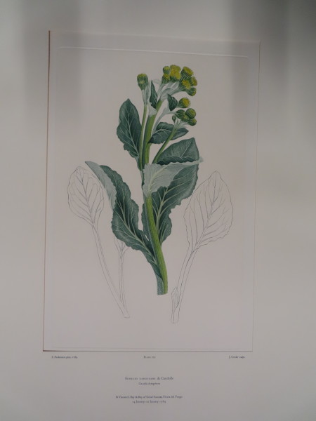 image FDA-E.2916_33_21-2016