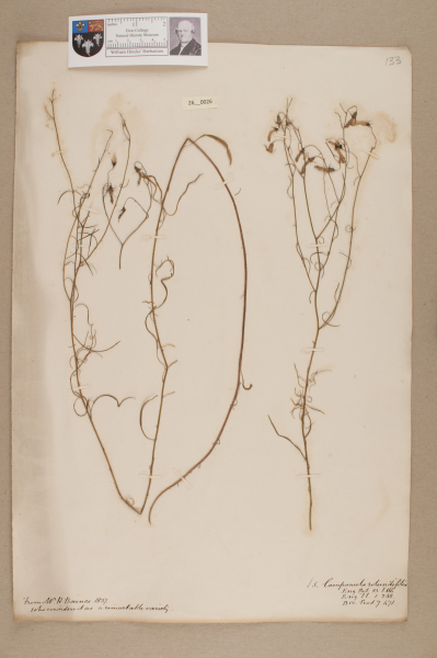 NHM_HH_26.26-2010 image NHM_HH_26.26-2010