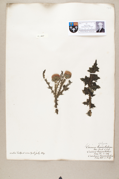 NHM_HH_27.27-2010 image NHM_HH_27.27-2010