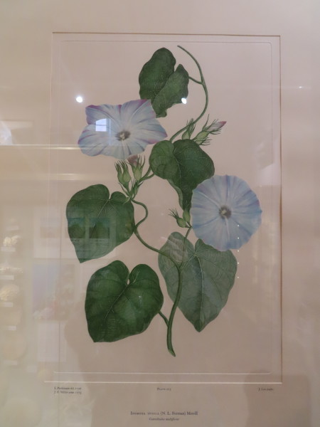 image FDA-E.2916_10_24-2016-A