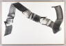 image FDA-D.1772-2024-cr