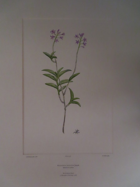 image FDA-E.2916_16_22-2016-A