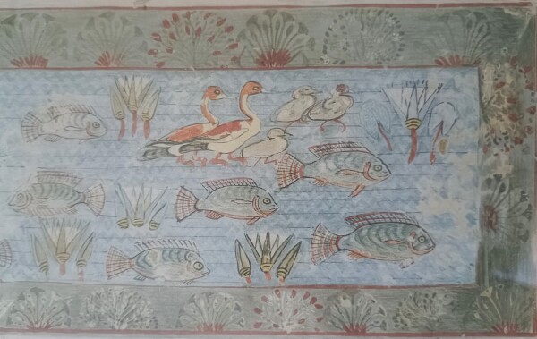 FDA-E.3055_13-2018-D image FDA-E.3055_13-2018-D