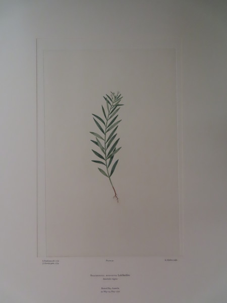 FDA-E.2916_2_23-2016-A image FDA-E.2916_2_23-2016-A