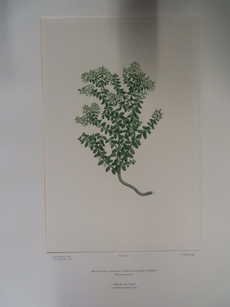 image FDA-E.2916_21_23-2016-A