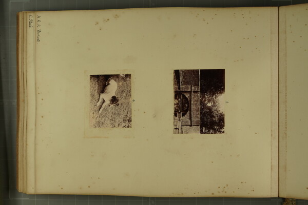 PA-A.80_39-2024 image PA-A.80_39-2024