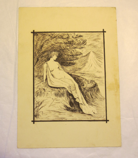 image FDA-D.1595_31-2018