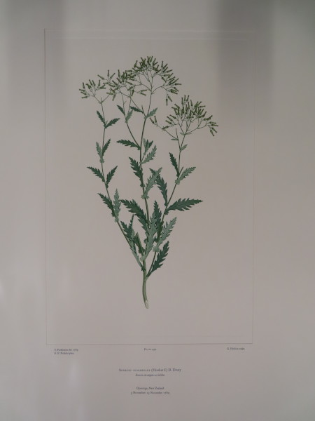 FDA-E.2916_23_24-2016-A image FDA-E.2916_23_24-2016-A