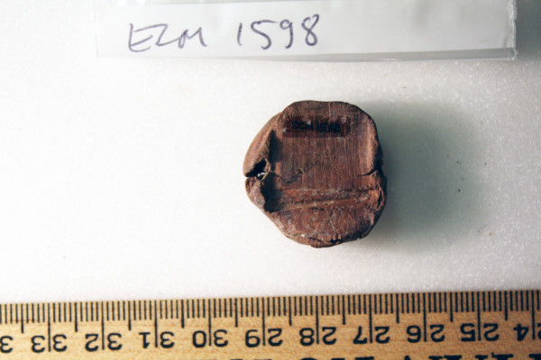 ECM.1598-2010-B image ECM.1598-2010-B