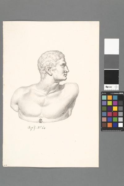 ECL-Bn.1_64-2013 image ECL-Bn.1_64-2013