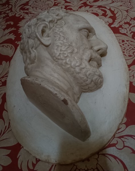 FDA-SC.96-2020-A image FDA-SC.96-2020-A