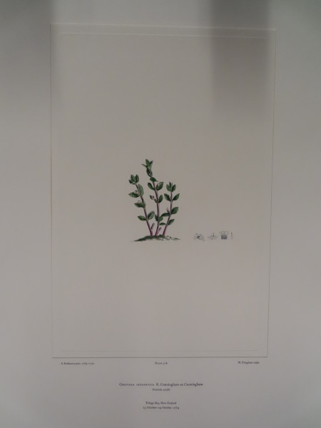 FDA-E.2916_25_6-2016 image FDA-E.2916_25_6-2016