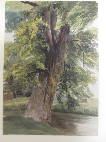 FDA-D.1419-2015 image FDA-D.1419-2015