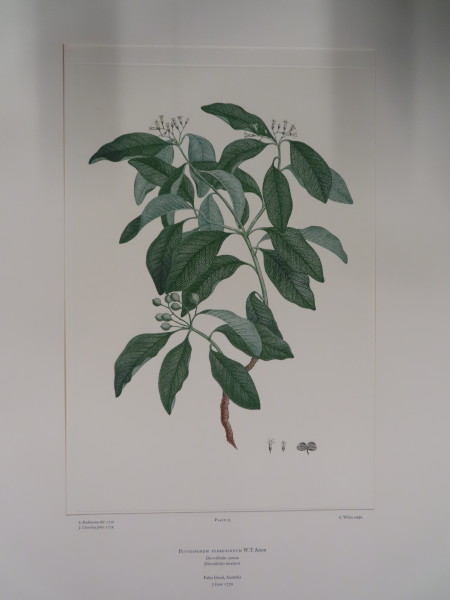 image FDA-E.2916_1_16-2016-A