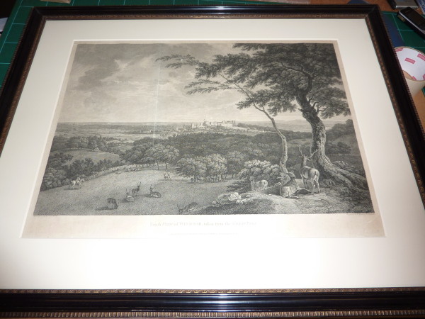 FDA-E.806-2013 image FDA-E.806-2013