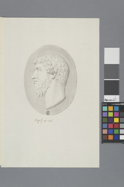 ECL-Bm.8_126-2013 image ECL-Bm.8_126-2013