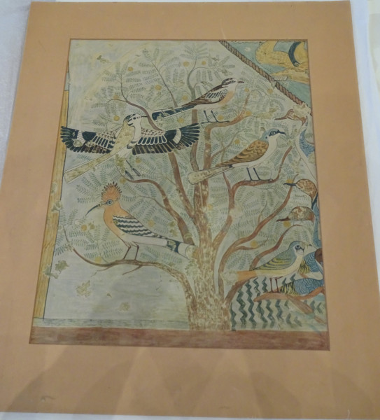 FDA-E.3055_81-2018 image FDA-E.3055_81-2018