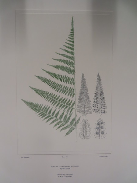 image FDA-E.2916_27_8-2016-A