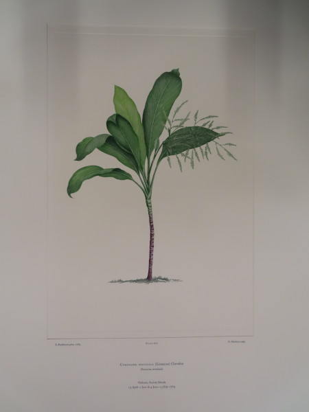 image FDA-E.2916_31_23-2016