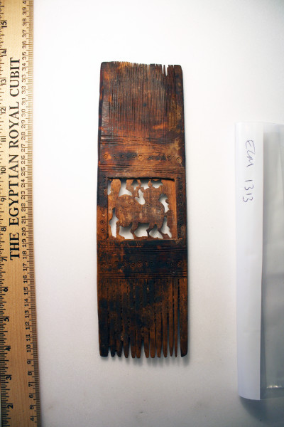 ECM.1313-2010-A image ECM.1313-2010-A