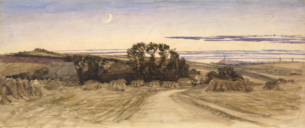 FDA-D.386-2010 image FDA-D.386-2010