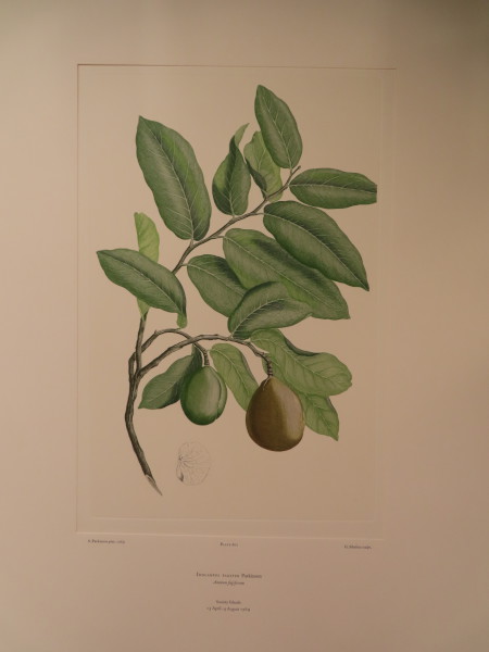 image FDA-E.2916_28_20-2016