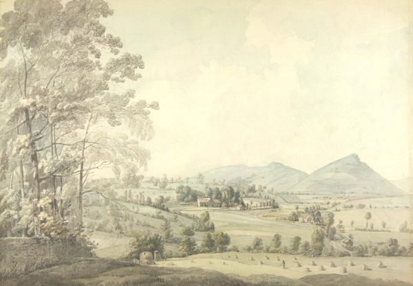 FDA-D.529-2010 image FDA-D.529-2010