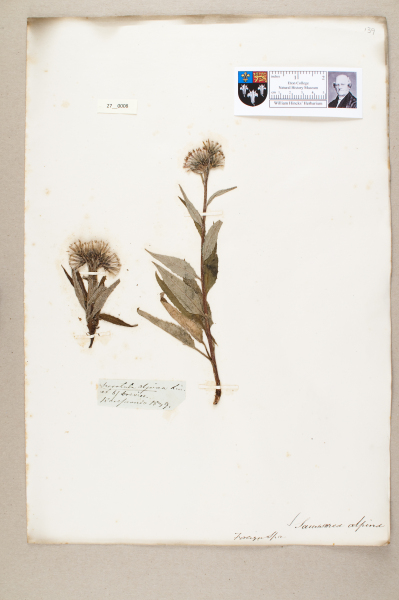 NHM_HH_27.8-2010 image NHM_HH_27.8-2010