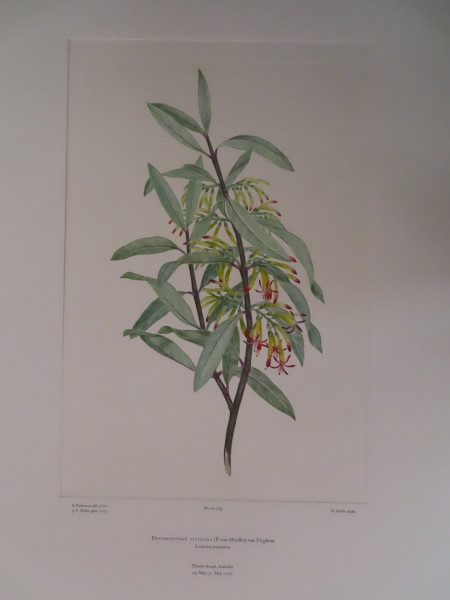 image FDA-E.2916_13_22-2016