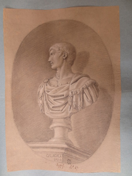 ECL-Bm.13_47-2013 image ECL-Bm.13_47-2013