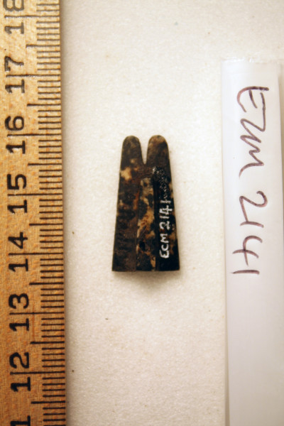 ECM.2141-2010-B image ECM.2141-2010-B