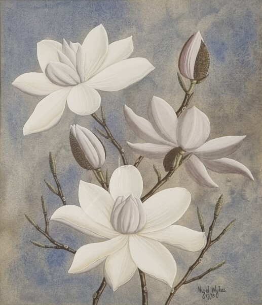 FDA-D.1785-2025-A image FDA-D.1785-2025-A