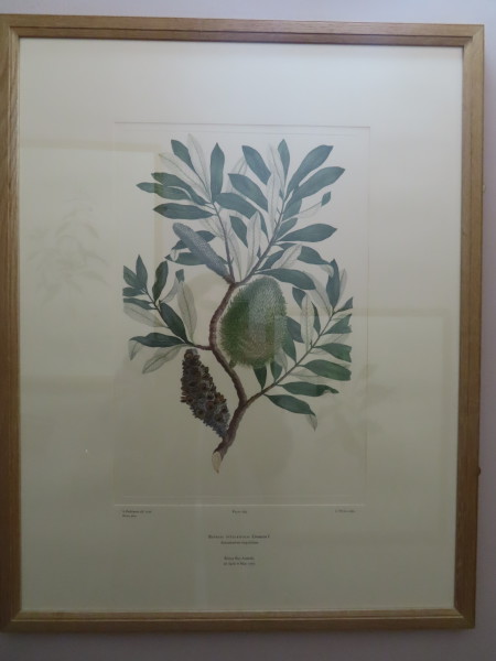 image FDA-E.2916_13_17-2016