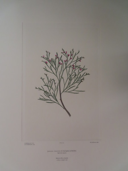 FDA-E.2916_3_10-2016-A image FDA-E.2916_3_10-2016-A