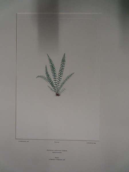 image FDA-E.2916_19_14-2016