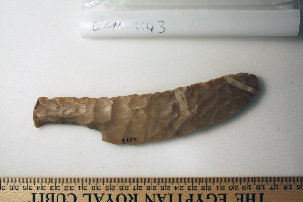 ECM.1143-2010-A image ECM.1143-2010-A