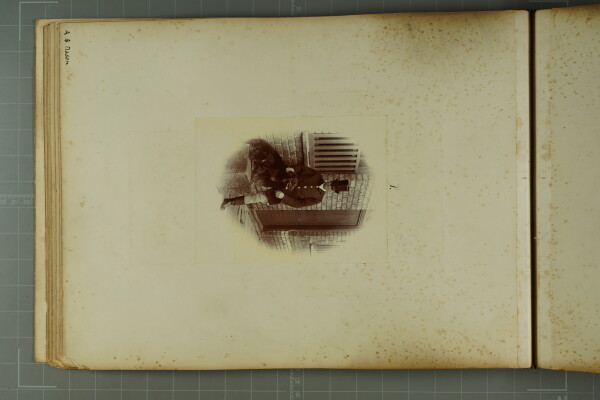 PA-A.81_16-2024 image PA-A.81_16-2024