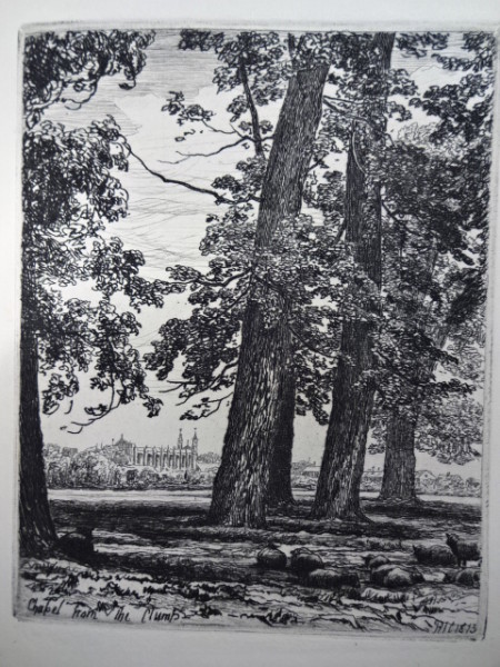 FDA-V.2-2015-L image FDA-V.2-2015-L