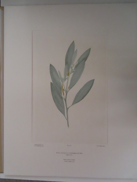 FDA-E.2916_5_6-2016 image FDA-E.2916_5_6-2016