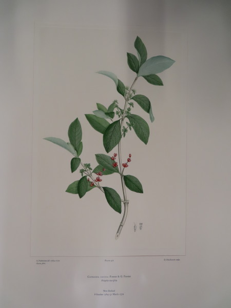 image FDA-E.2916_23_5-2016